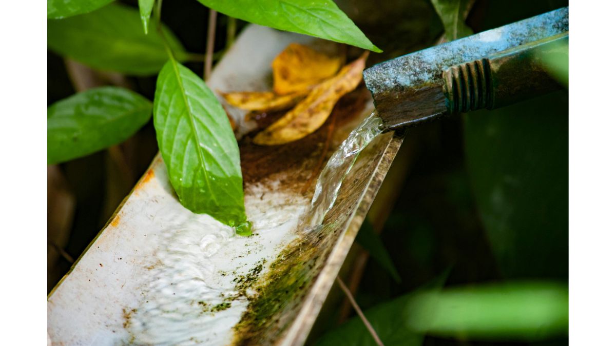 How to Improve Water Quality at Home Without Overcomplicating It