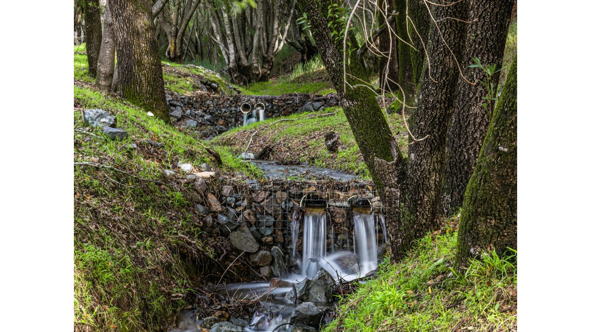 Why Stormwater Runoff Matters More Than Most Homeowners Think